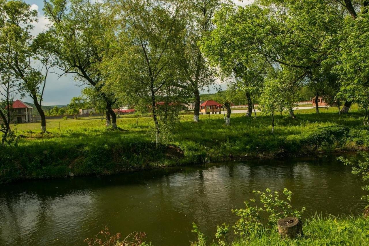 Illara Spa Hotel Irshava Eksteriør billede