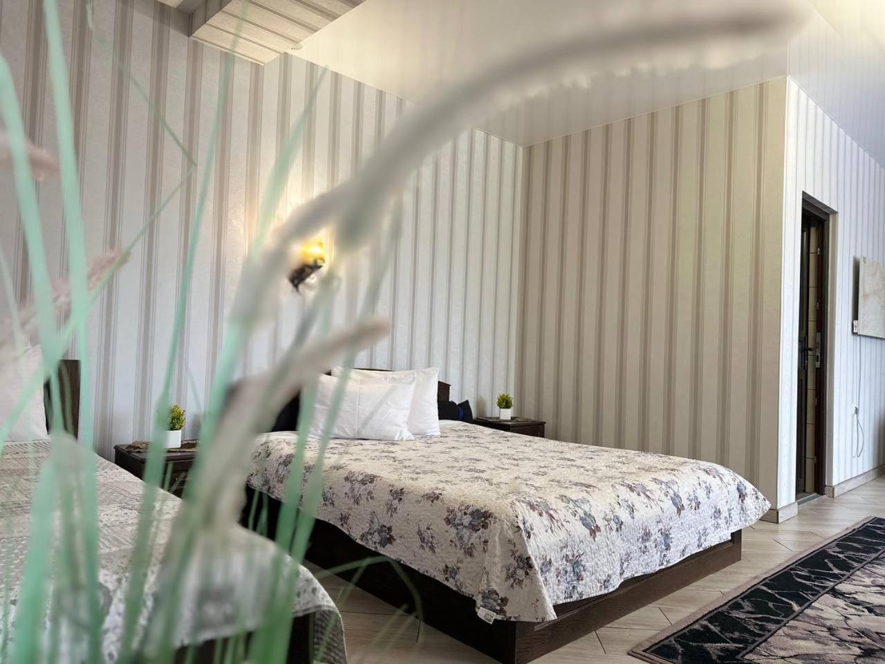 Illara Spa Hotel Irshava Eksteriør billede